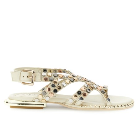 CafèNoir GF2102 osso